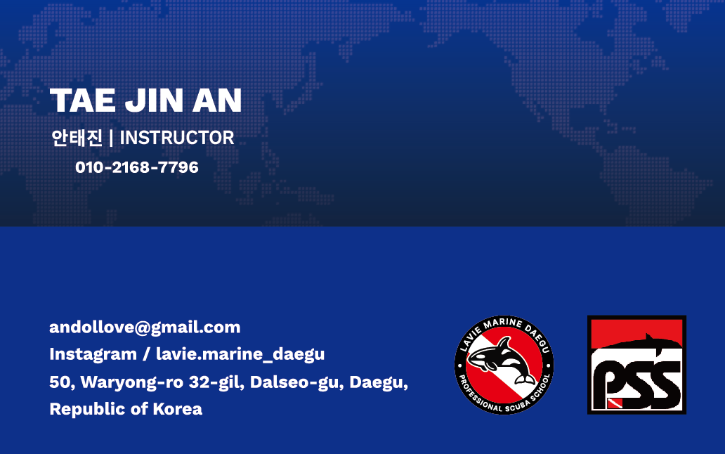 라비마린 첫 번째 명함