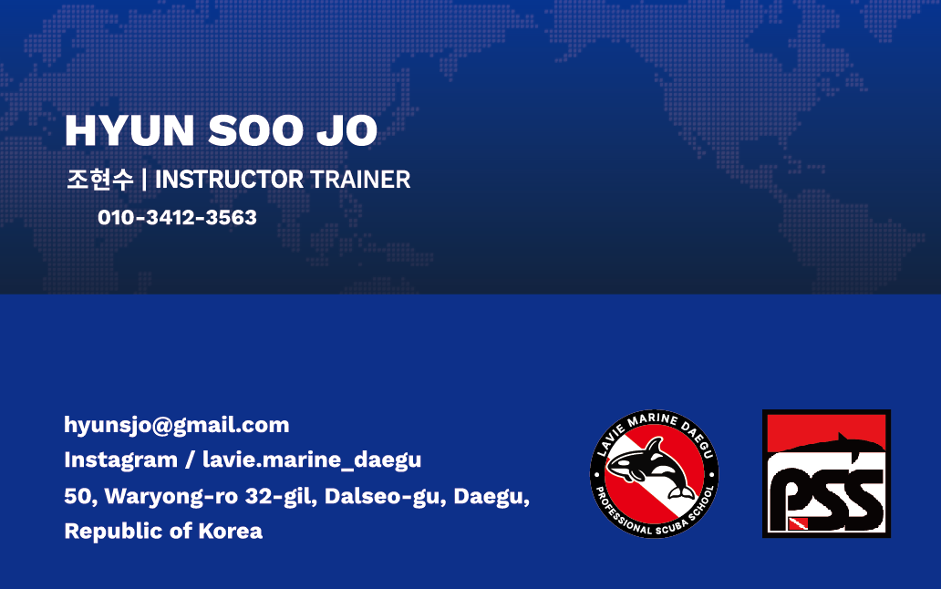 라비마린 두 번째 명함