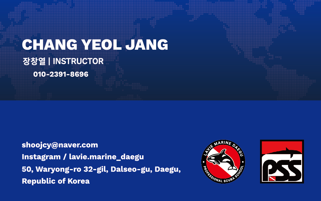 라비마린 세 번째 명함